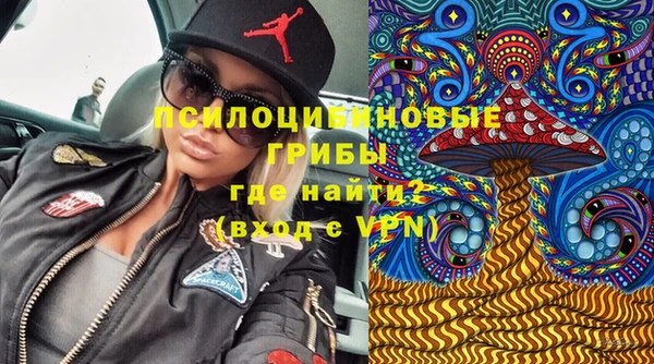винт Каменногорск