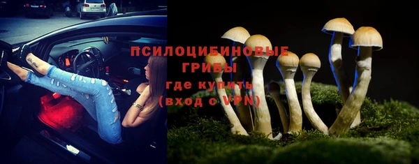 МДПВ Каменка