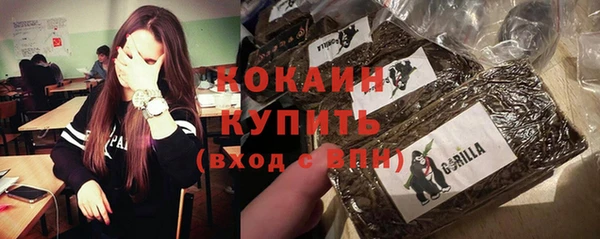МДПВ Каменка