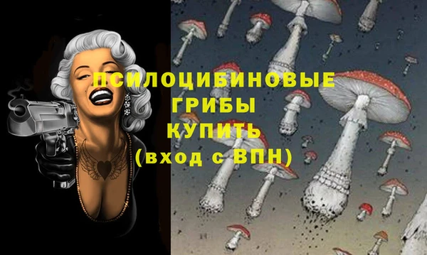 винт Каменногорск