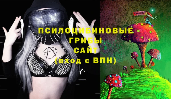 винт Каменногорск
